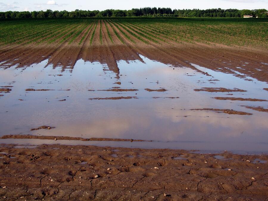 Poplavljeno kmetijsko zemljišče. Foto: G. Altmanna, vir Pixabay