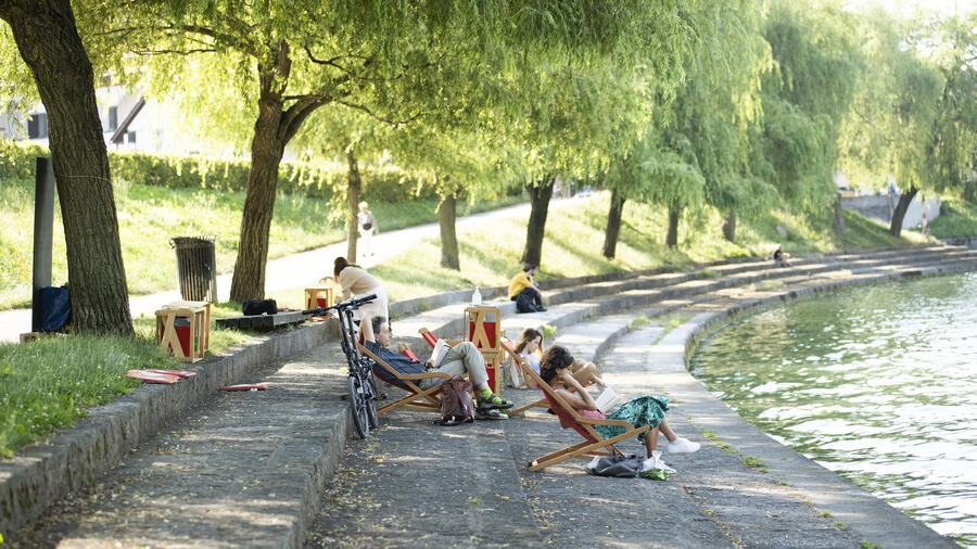 Knjižnica pod krošnjami na Trnovski plaži. Foto vir: Divja misel