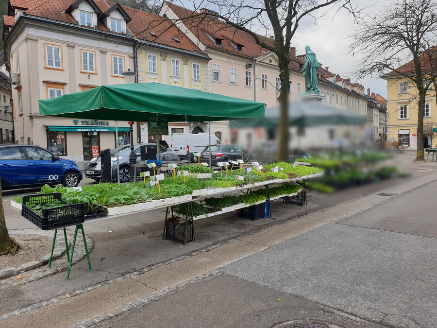 Kmetijstvo Snoj osrednja trznica