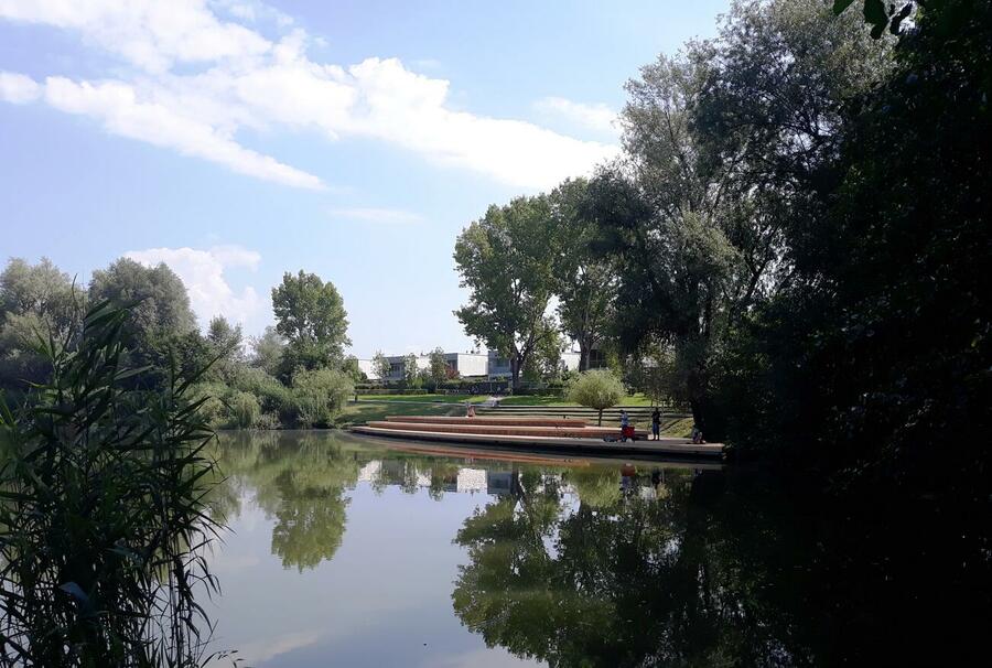 Koseski bajer prenova JPSnaga 4