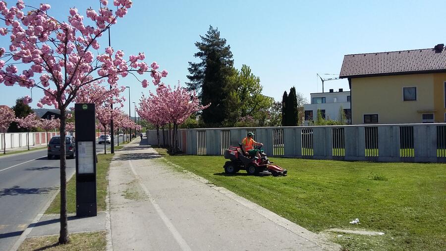 Košnja na Kopačevi ulici v Ljubljani