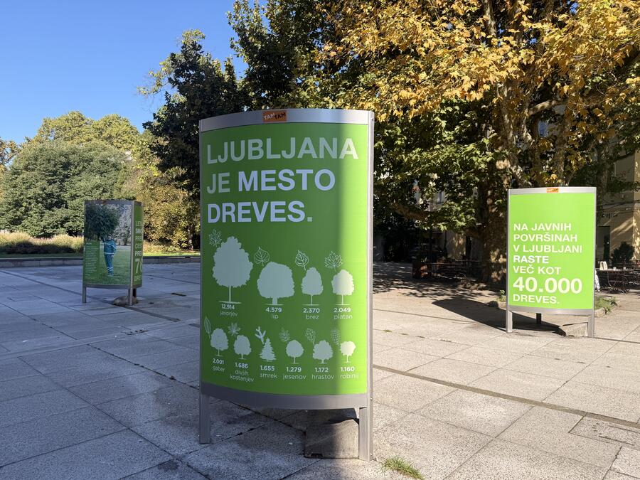 Razstava Drevesa v Ljubljani. Foto: arhiv MOL