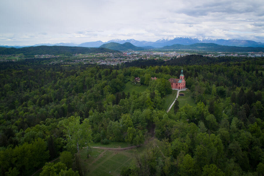 Rožnik