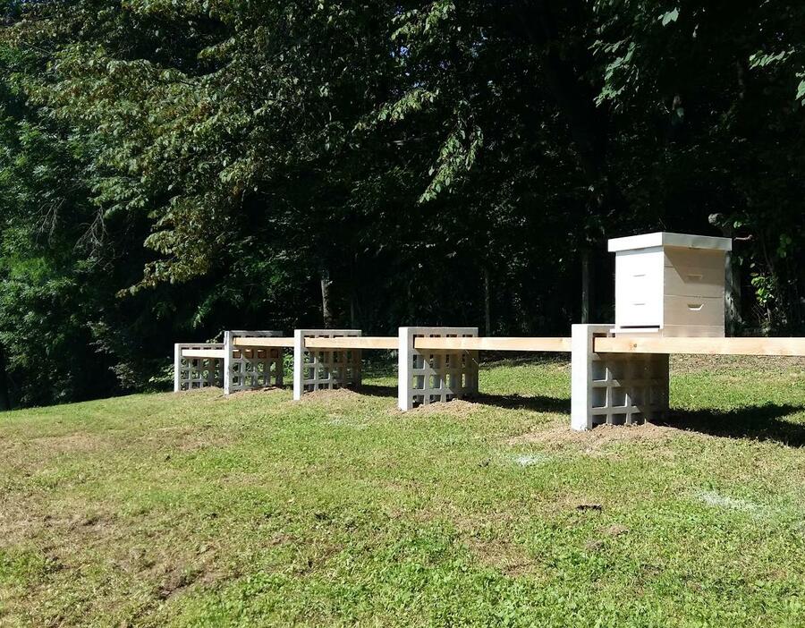 Stojišče za čebele v Tivoliju_dskraban