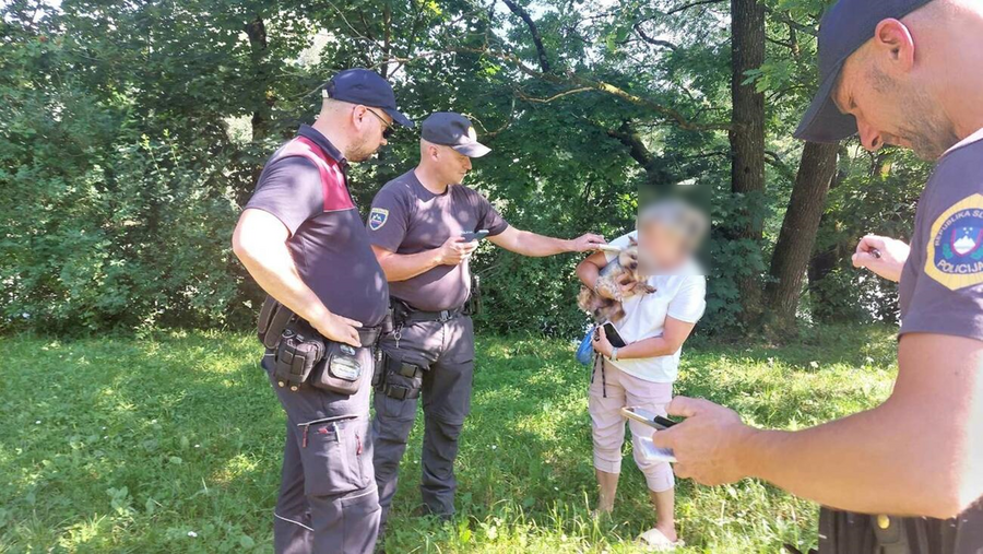 Slika ZZZiv zamegljeno