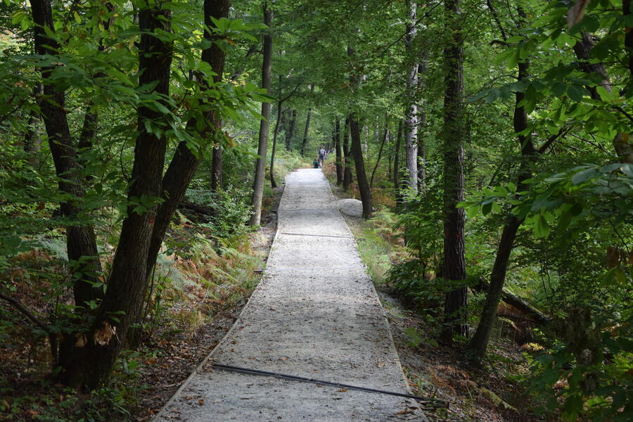 Na sprehod po Golovcu. Foto: Klemen Strmšnik