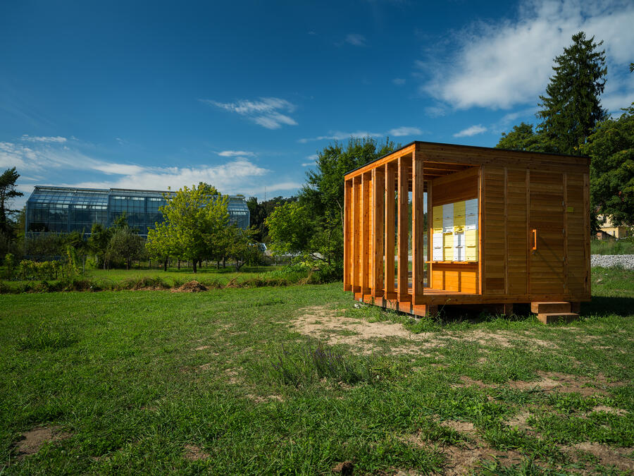 Urbana čebelja domovanja Žiga Koritnik