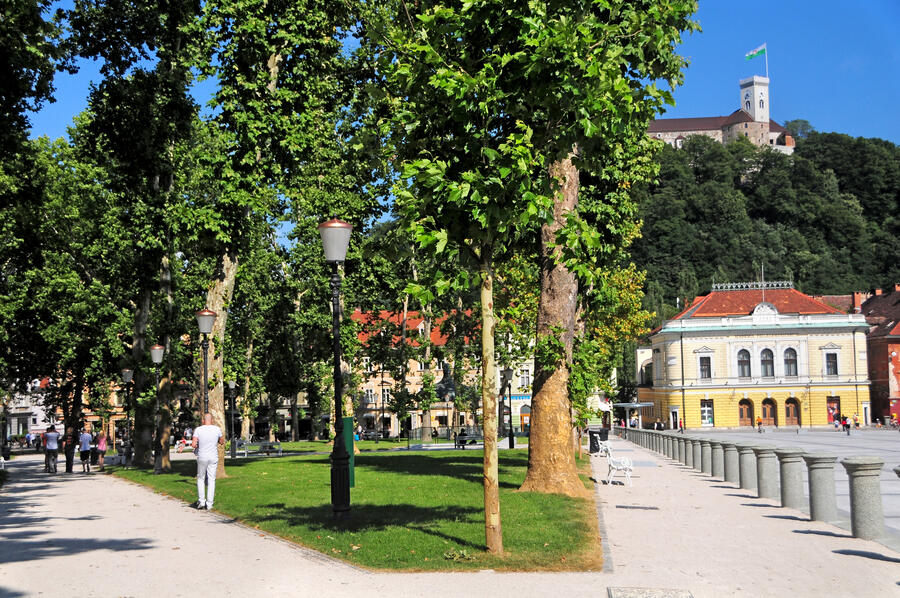 View of the Castle from Zvezda Park 