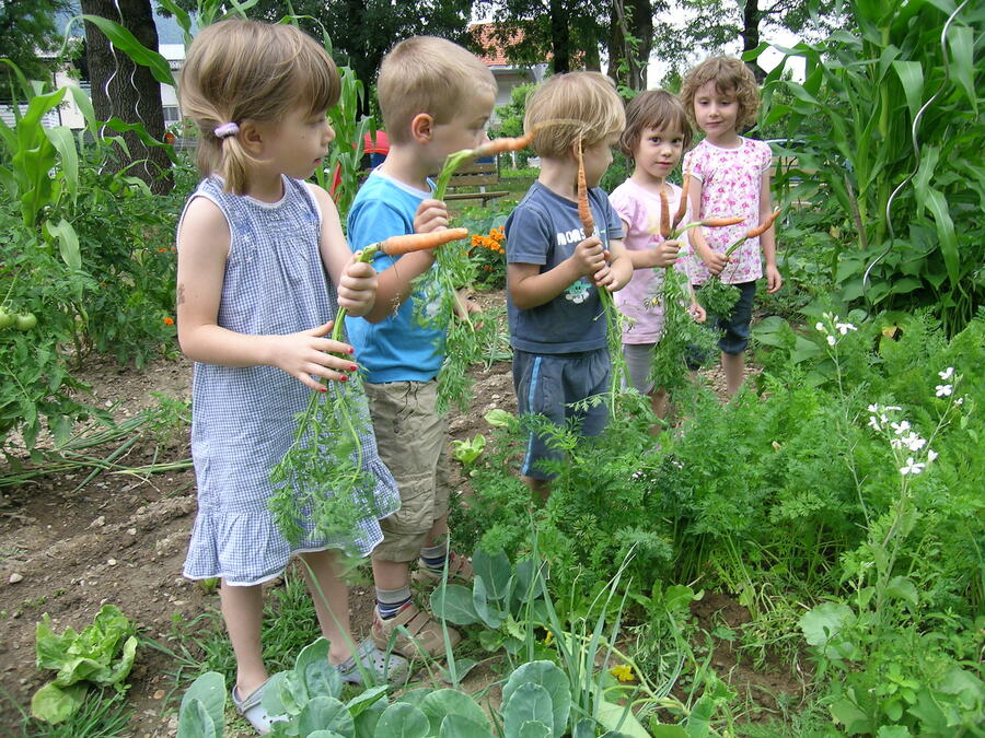 V Vrtcu Šentvid otroci radi vrtnarijo, foto: Helena Pugelj, vrtec Sentvid