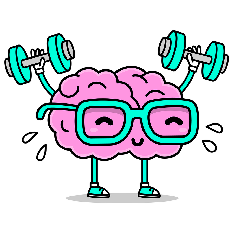 brain 7420599 1280 foto piksabay