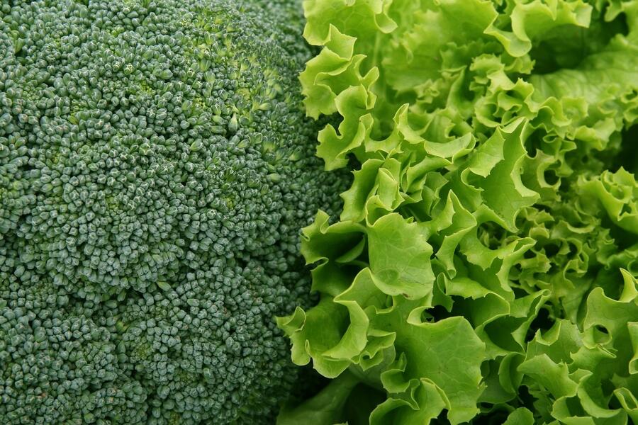 broccoli salad pixabay