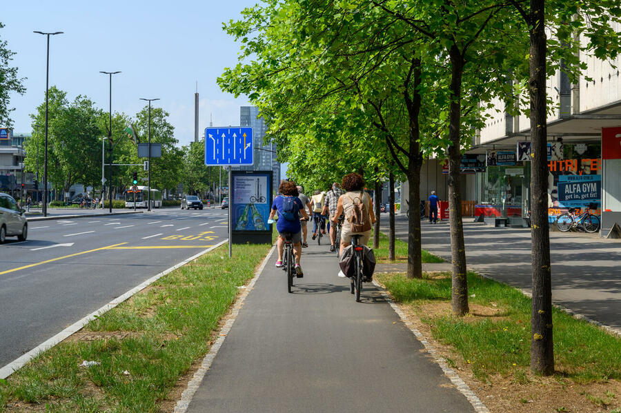 the renovated dunajska street