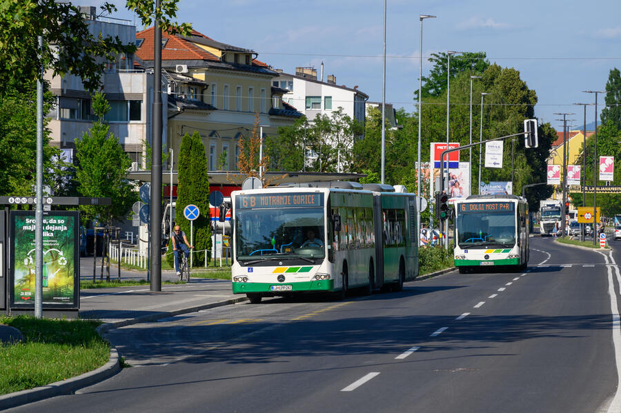 mestni avtobusi
