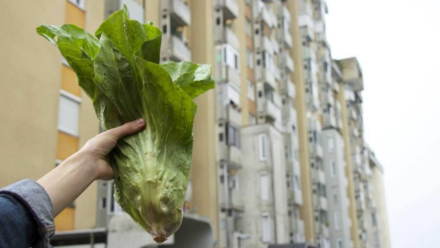 cs posavje dan dobrot