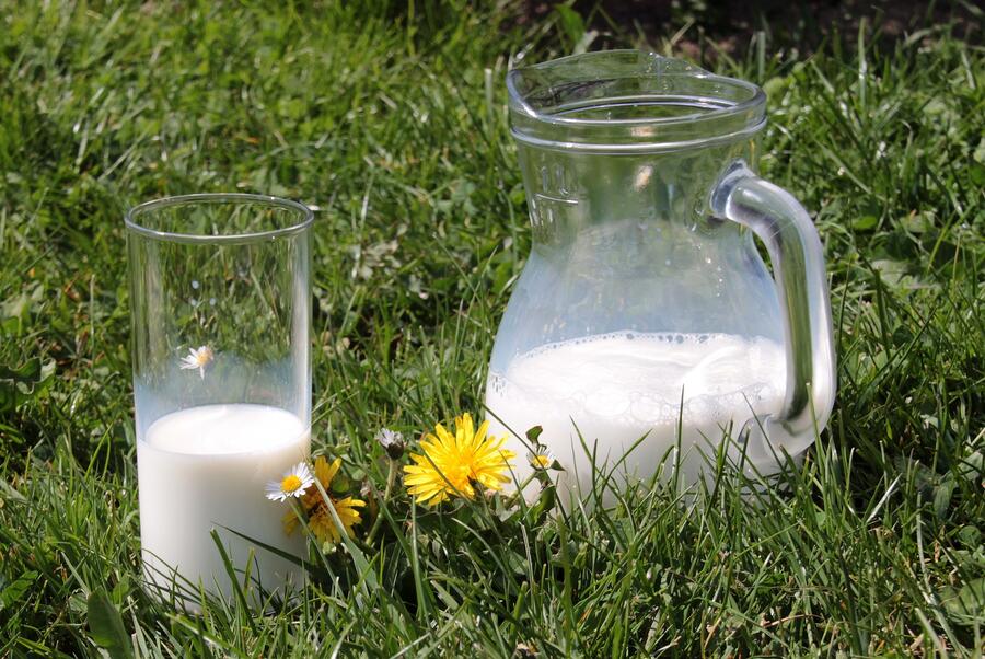 mleko foto pixabay