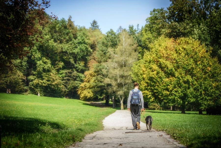 sprehajalec s psom v parku Tivoli