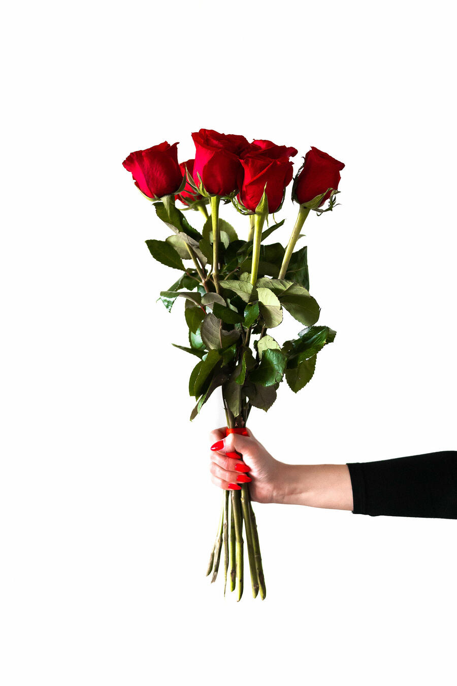 red roses in woman hand 2210x3312 picjumbo2