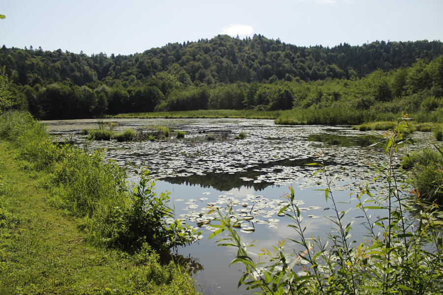 Skozi dolino Drage na Golo, foto: arhiv MOL