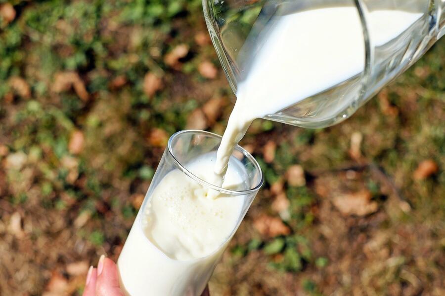 sveze mleko pixabay