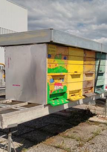 Urbani čebelnjak na ARSO Ljubljana; Foto: Žiga Logonder