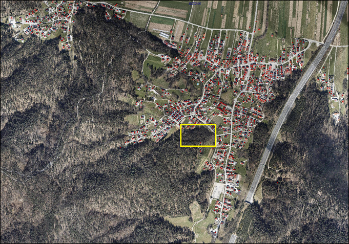 bizovik