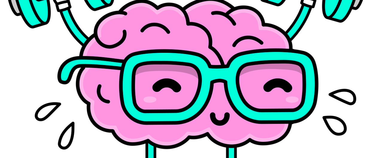 brain 7420599 1280 foto piksabay