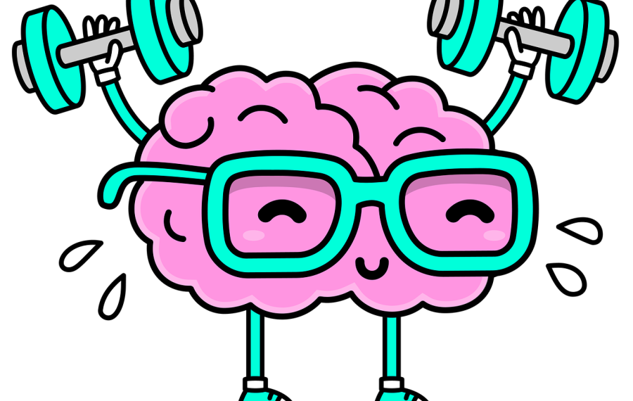 brain 7420599 1280 foto piksabay