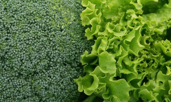 broccoli salad pixabay