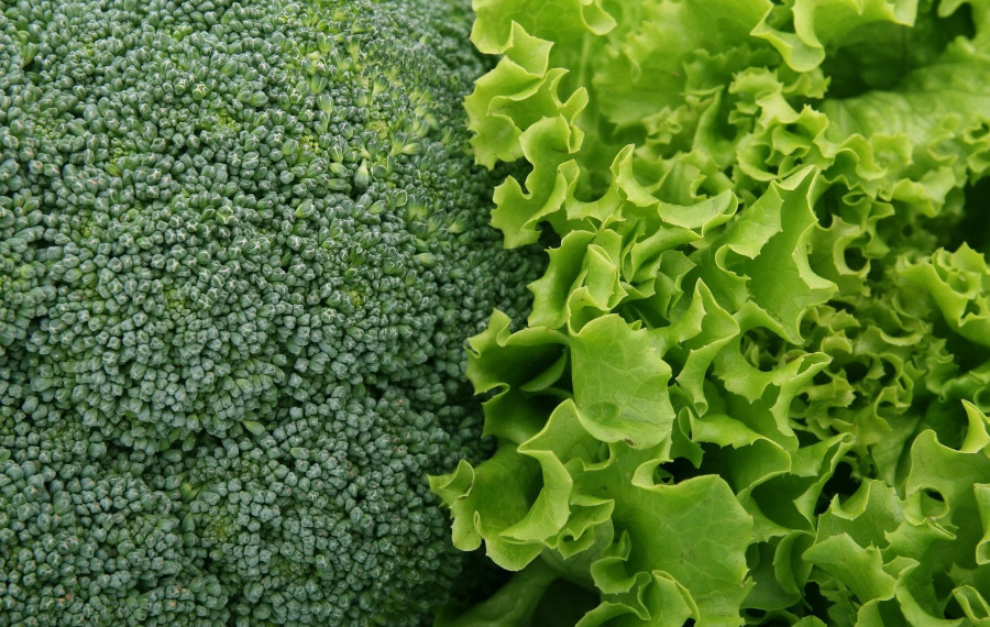 broccoli salad pixabay