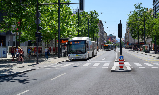 avtobus na cesti