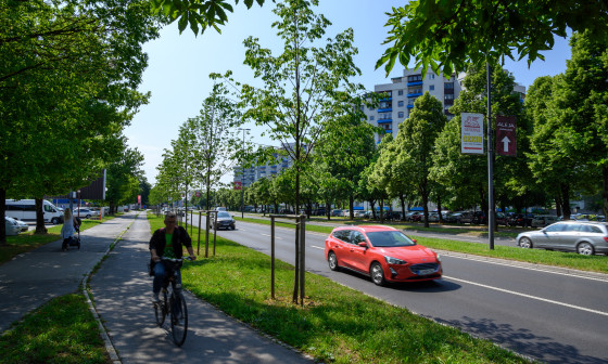 Celovška cesta. Foto: Miran Kambič
