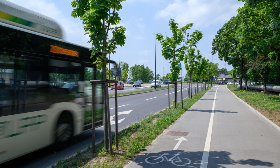 avtobus na Letališki cesti