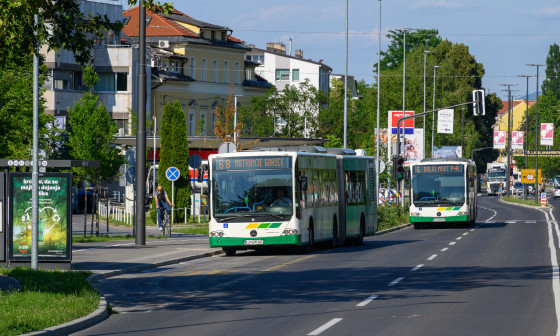 mestni avtobusi
