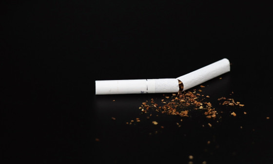 Prelomljena cigareta. Foto: Olga Oginskaya, Pixabay