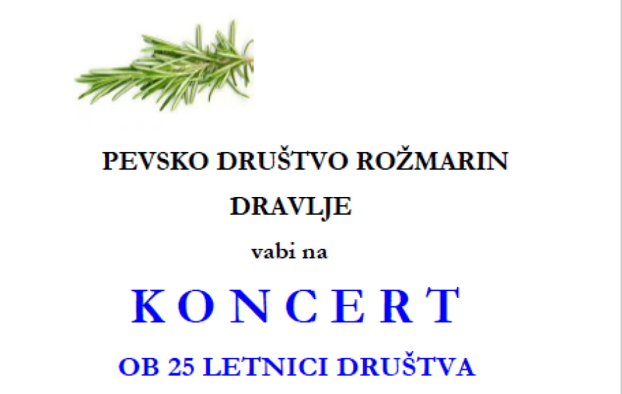 koncert2