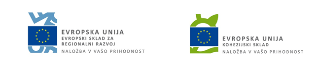 logo EU izanska cesta