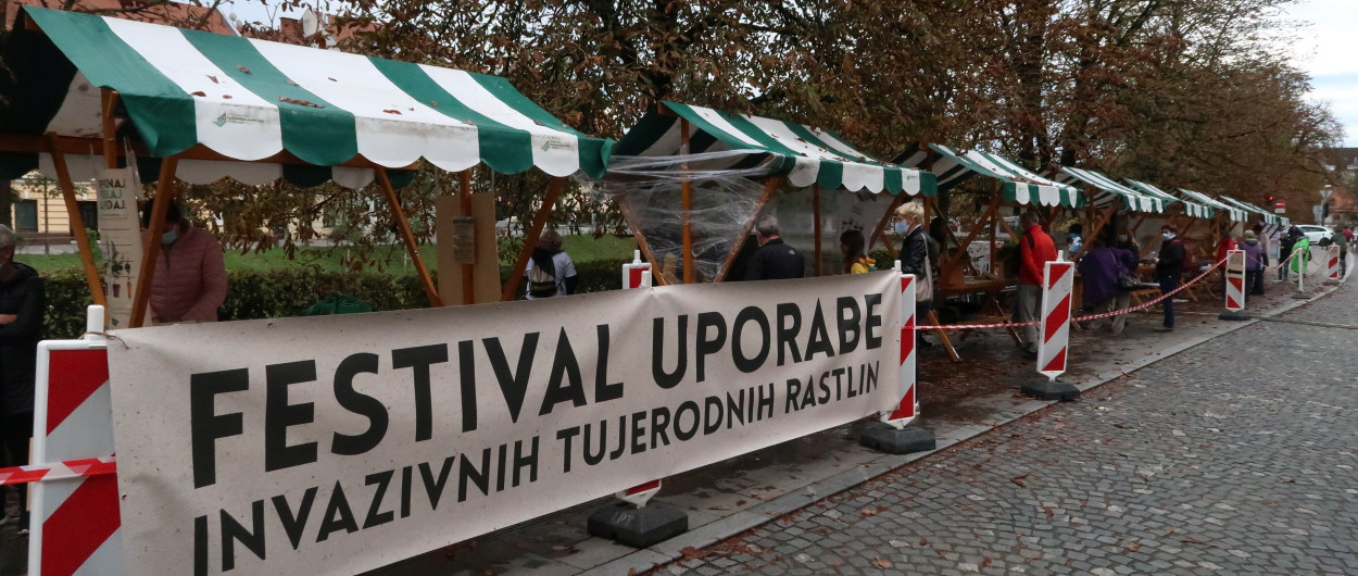 naslovna IMG 5816 FestivalInvaz2020