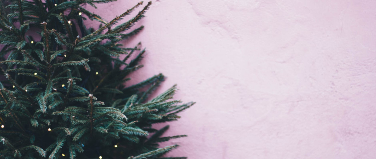pexels photo 814266
