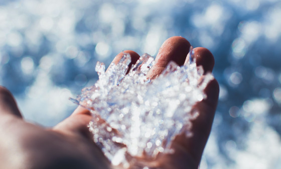 Pozeba. Foto: Ruslan Alekso, Pexels