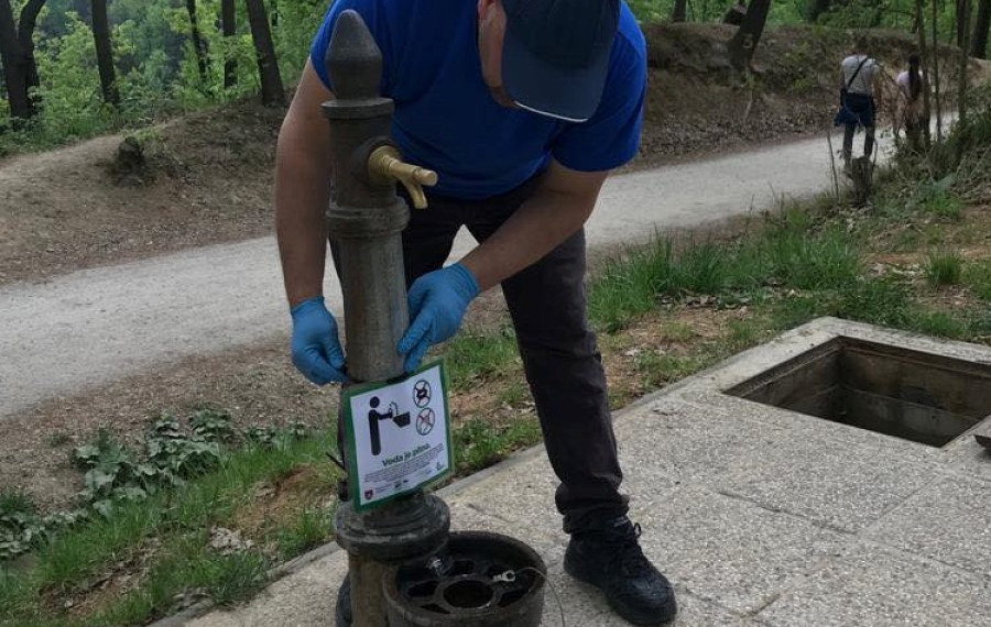 pitnik1