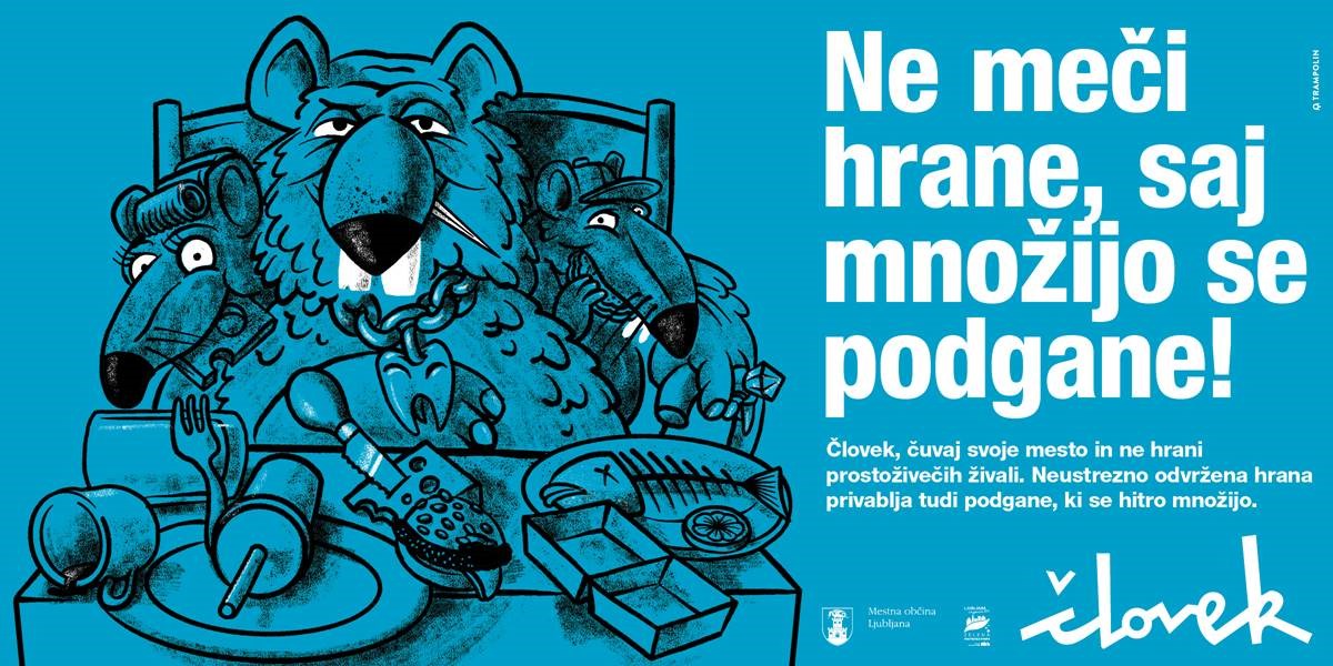 podgane3