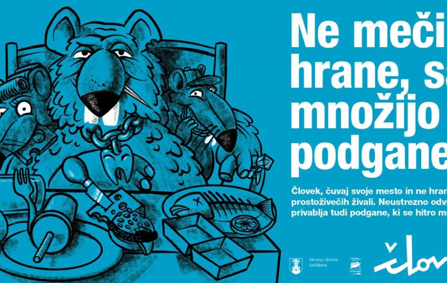 podgane4