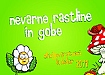 Nevarne rastline in gobe