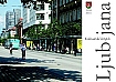 Kolesarski letopis 2014 - 2015