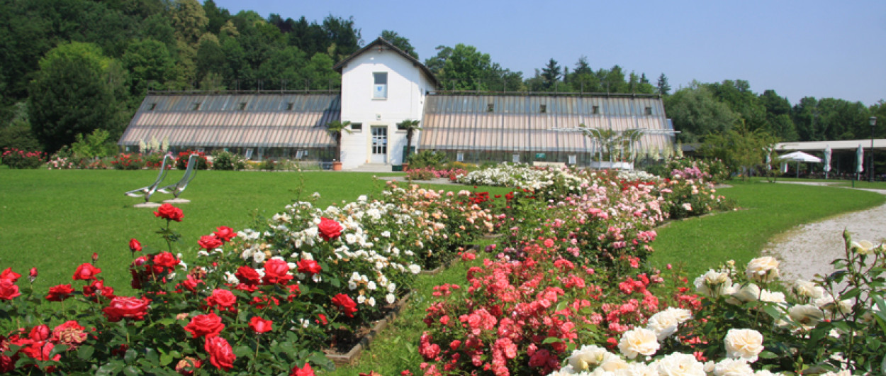 rastlinjak tivoli 