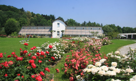 rastlinjak tivoli