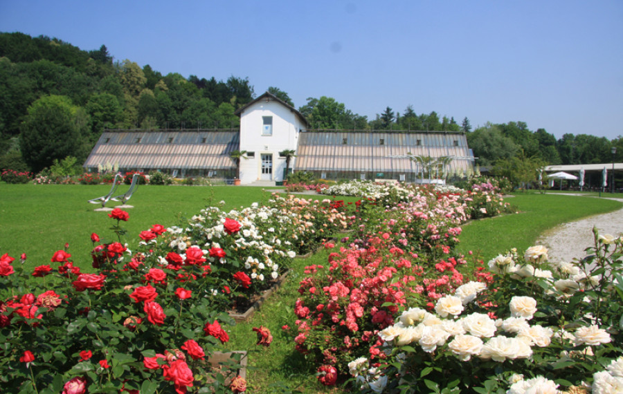 rastlinjak tivoli 
