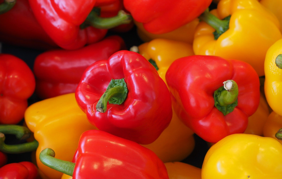 rdeca in rumena paprika pixabay