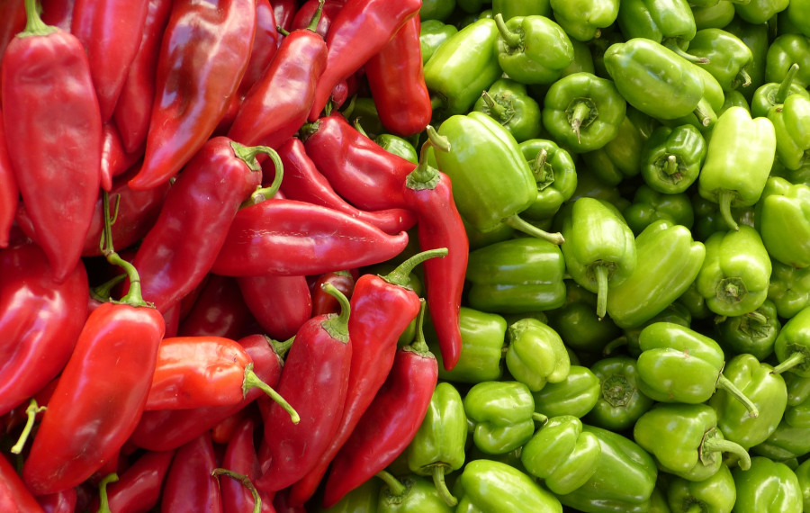 rdeca in zelena paprika pixabay