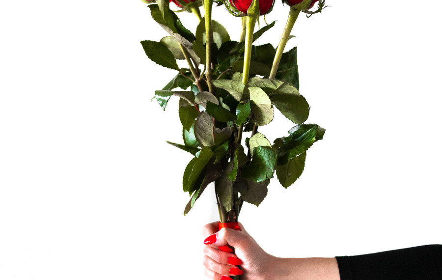 red roses in woman hand 2210x3312 picjumbo2